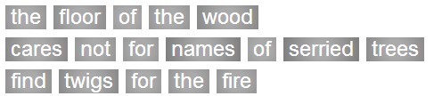 Haiku 1 - the floor of the wood / cares not for names of serried trees /  find twigs for the fire