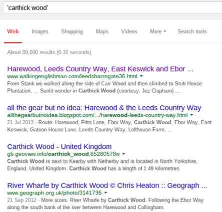 Google results for carthick wood