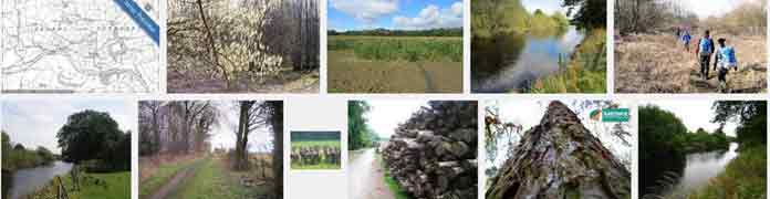 Image search for carthick wood
