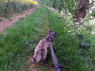 Smithy leading the way