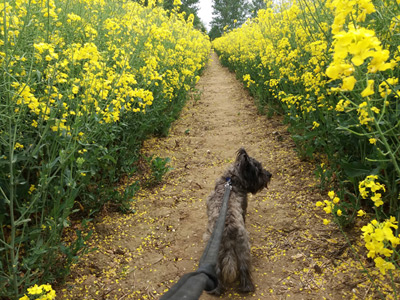 Smithy leading the way