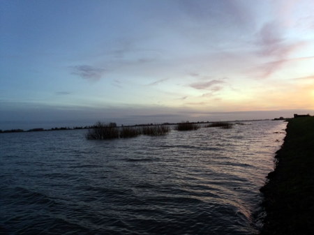 Floodlands