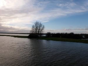 Floodlands