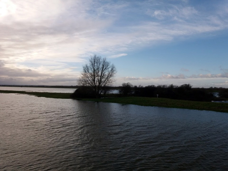 Floodlands