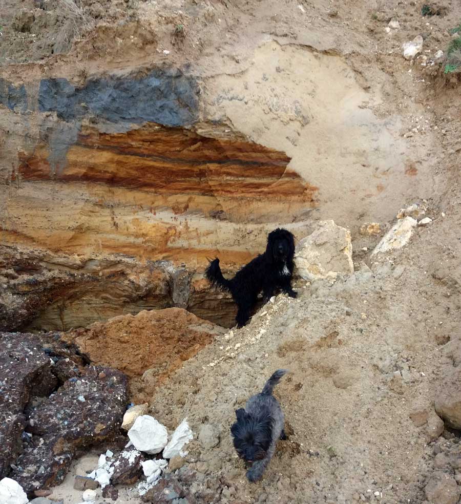 cliff-hopping
