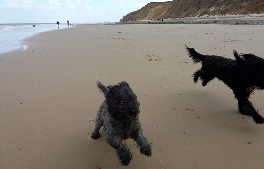 run-run-run