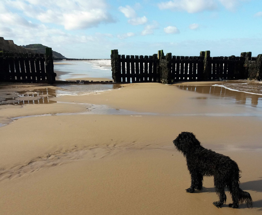 sand-gate-2