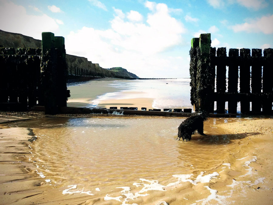 sand-gate