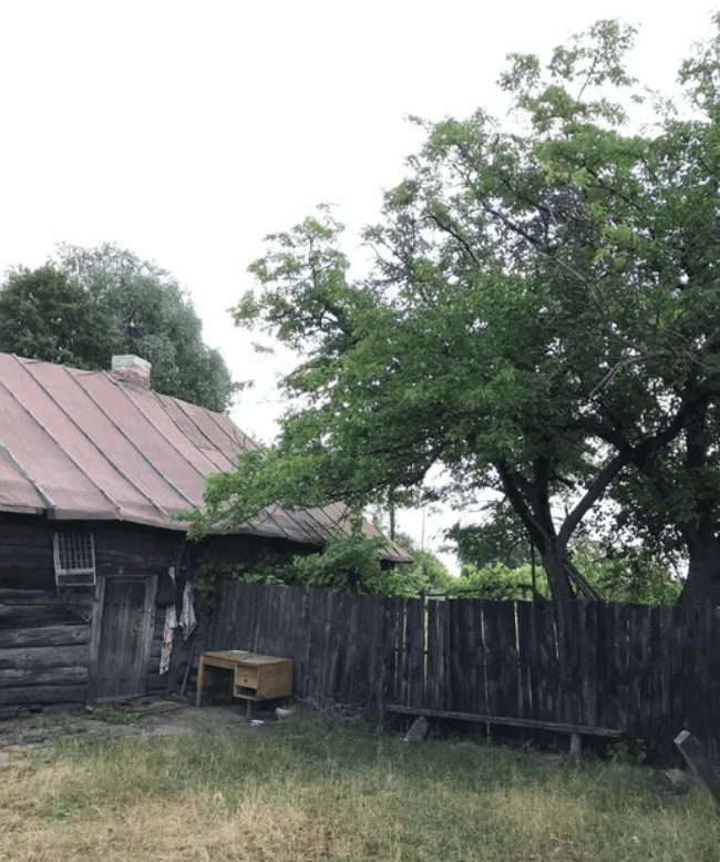 Nedanchychi garden