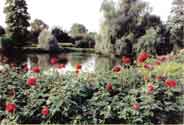 The lake in Queen Mary's Rose Garden