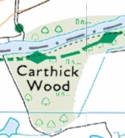 carthick wood map