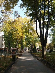 Odesa park